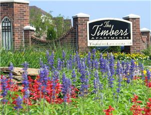 The Timbers